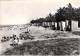 17 - ILE D'OLERON : Petit Lot De 6  CPSM Dentelée Noir Blanc Grand Format ( Toutes Scannées ) Charente Maritime - Ile D'Oléron