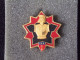 Insignes Militaire "D.T.G. - Direction Des Travaux Du Génie" -  Military Badges - - Armée De Terre