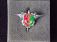 Insignes Militaire "S.E.A.G. Service Des Essences Antilles - Guyane" -  Military Badges - - Armée De Terre