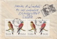 Postal History Cover: Poland Birds Of Prey, Flower Stamps On Cover - Eagles & Birds Of Prey