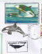 Royaume Des Tonga.Baleines: EXPO MILAN 2015, Belle Lettre Du Pavillon Des Tonga, Adressée En Andorre - Tonga (1970-...)