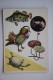 KHANKA LAKE - - AMIDA  Turtle - TURTLE - Testudo  - Old PC - Tortue 1985 - Turtles