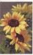 Carte Postale Fantaisie C.KLEIN -Tournesol Ou Rudbeckia  - FLEUR  - Illustrateur - RARE - VOIR 2 SCANS - - Klein, Catharina