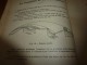 Delcampe - 1926 Ministère De La Guerre : Cours D'ARTILLERIE Manuel Du TIR De 75  Mesure Des écarts ,(Défilement ,Feuille De Calcul - Francese