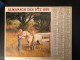 Calendrier Almanach Des PTT 1979 Enfant Et Poney , Jeune Chow-chow Chien Intérieur Paris Cartier-Bresson - Grand Format : 1971-80