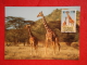 Kenya Serie World Animals Widelife Fund 1989 Nice Stamp - Kenya