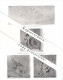 Photographien / Ansichten , 1913 , Walzenhausen , Trogen , Speicher , Grub , Prospekt , Architektur , Fotos !!! - Speicher
