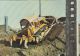 34487- EXCAVATOR, DREDGER, CONSTRUCTION INDUSTRY - Industry