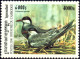 Delcampe - BIRDS-ALBATROSS-BLUE FOOTED BOOBY & OTHERS-CAMBODIA-2002-FULL SET-MNH-B3-525 - Albatros & Stormvogels