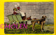 ZEELAND HONDENKAR WALCHEREN WALCHERSE ATTELAGE DE CHIEN * DOG DRAWN CART * HONDEKAR * VOITURE à CHIENS * HUNDEKARRE 2969 - Spannen