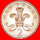 &#9733;OSTRICH FEATHERS: UNITED KINGDOM &#9733; 2 PENCE 1981! MINT LUSTER! LOW START&#9733;NO RESERVE! - 2 Pence & 2 New Pence