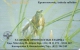 GREECE PHONECARD BIRD KRYPTOTSIKNIAS -X1121- 250000pcs-5/01-USED - Sonstige & Ohne Zuordnung