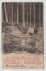 Germany Deutschland Tharandt Tharandter Wald 1899 1 Kr Stamp Stempel Post Card Postkarte Karte POSTCARD - Tharandt