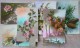 CP Lot 6 X Photo Montage Fantaisie Langage Des Fleurs Gui Lierre Sapin Pensée Timbre Belgique - Collections & Lots