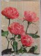 ROSAS - ROSES. CIRCULADA A HOLANDA. USADO - USED. - Flowers