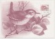 ISLANDE - 3 Cartes Maximum - Oiseaux - 1981 - Cartes-maximum