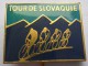 CYCLISME / FIETSEN / CYCLING / CICLISMO / TOUR DE SLOVAQUIE   PINS BADGES  P - Cyclisme