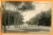 JUL185, Promenade Des Pins à Beyrouth, âne,  Animée, Circulée 1922 - Libanon