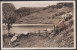 SWITZERLAND , SEELISBERGSEE , OLD POSTCARD - Seelisberg