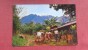 > Costa Rica   Mountain Farmer With Ox Cart   ==   2151 - Costa Rica