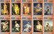 Delcampe - A03042 China Phone Cards Oil Painting 90pcs - Petrole