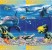 Delcampe - D04011 China Phone Cards Dolphin Puzzle 54pcs - Delfines