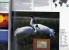 Nations Unies: 1993 4 Séries "espèces Menacées MNH** N.Y Genève Vienne Dans Un Beau Livret De 8 Pages Voir Explications - Colecciones & Series