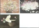 Fleur - LOT DE 6 BELLES CARTES NEUVES  Composition De Bouquet - Coquelicot - Anémone… / Dessin Encadrement Art - Malerei & Gemälde