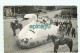 Br -72 - LE MANS - Photo Du Carnaval Ou Mi-careme En 1948 - Cygne - Char - Photographe Pruvost - Le Mans