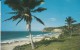 AMERIQUE---ANTILLES---PUERTO RICO---EL GUAJATACA---puerto Rico's Seashore Resort Directhy.....--voir 2 Scans - Puerto Rico