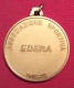 MEDAGLIA  TRIESTE ASSOCIAZIONE SPORTIVA EDERA  1904 - 1984  - D. 4  - In Bronzo Dorato - Professionali/Di Società