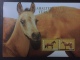 Stamps Turkmenistán  Horses 2005 4 Souvenir Sheet - Turkménistan