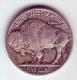 - USA - Etats Unis - Five Cents Buffalo 1915 D. - 1913-1938: Buffalo