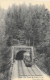 Environs De Toul Illustrés - Foug - Le Tunnel Du Chemin De Fer - Train Sortant Du Tunnel - Edition F. Poirot - Structures