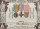 En Mémoire De La Grande Guerre/Présentoir De Décorations/+ 3  Médailles/17éme RI Territoriale// 1914-1918    DIP101 - Andere & Zonder Classificatie