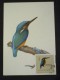 Delcampe - Oiseaux 6 Cartes - Tarjetas Máxima