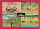 Multi View Card Of Antelope Of Zimbabwe,Posted With Stamp, B21. - Zimbabwe