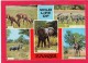 Multi View Card Of Wild Life Of Zambia,Posted With Stamp, B21. - Zambia