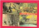 Multi View Card Of ,Yankari National Park,Nigeria.,Africa,Posted With Stamp, B21. - Other & Unclassified