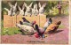 Delcampe - 11 Postcards Karl Feiertag Artist Signed & Numbered Christmas Easter Rabbits Chickens Music Lesson Bull Dog N°159 - Feiertag, Karl