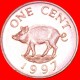 &#9733;PIG AND QUEEN: BERMUDA &#9733; 1 CENT 1997! LOW START&#9733; NO RESERVE!!! - Bermudas