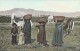 Egypte - Filles Arabes Dans La Moisson- Scan Recto-verso - Altri & Non Classificati