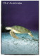 (222) Australia - Governement Environment Set Of 3 Postcard (Turtle - Tree - Native ) - Schildkröten