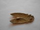 Broche Ancienne Cigale - Broches