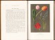 H.A. Rankin - Pastel Work Flowers - Ed. Sir Isaac Pitman & Sons,  LTD. - Vie Sauvage