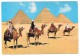 Egypt - Giza - Kheops, Khephren And Mykerinos Pyramids - N° 66 - Pyramides