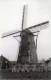 Ophoven Bij KINROOI (Limburg) - Molen/moulin - Maxikaart Van De Verdwenen Molen De Korenbloem In 1944. TOP! - Kinrooi