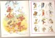 Delcampe - Album BONGO Le Petit Ours Albums Roses Hachette Disney 1964 - Disney