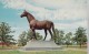 USA, MAN O'WAR STATUE, FARAWAY FARM, LEXINGTON, KENTUCKY, Used Postcard [16469] - Lexington