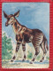 Image Plastifiée - Okapi - Offert Par Vitho - N°34 - Altri & Non Classificati